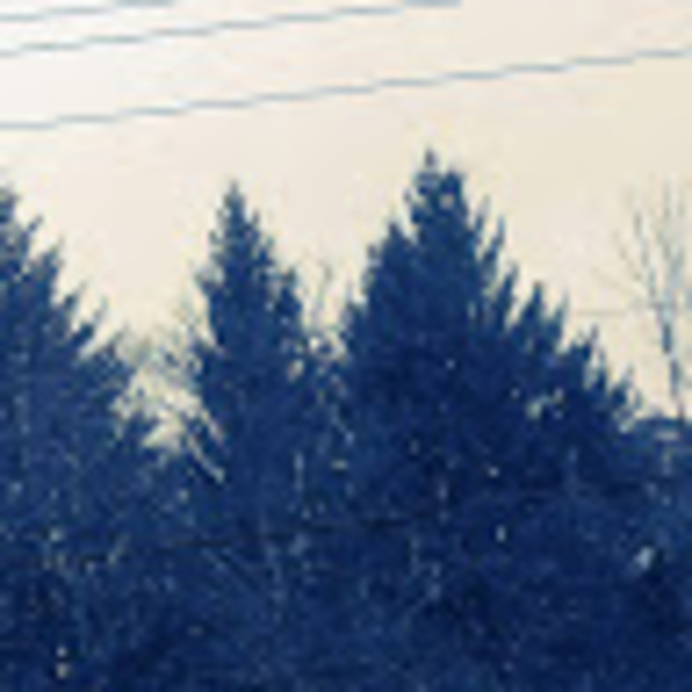 Meet your Posher, Bella